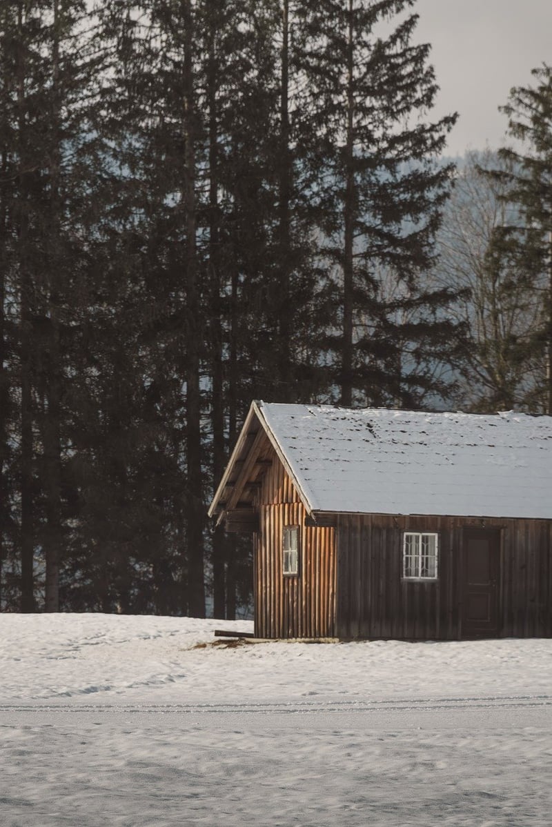 Magical Forest Retreats